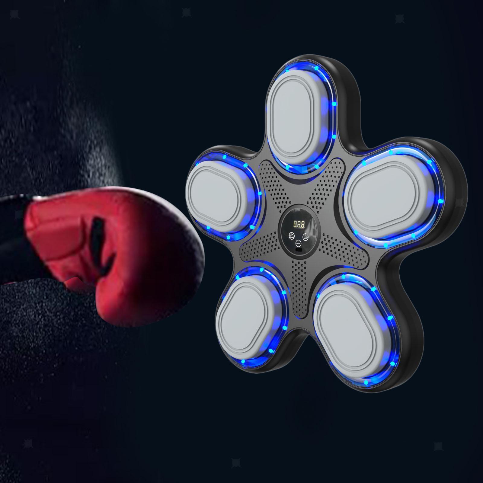 Новая модель музыкального бокс – обзор и цена Boxing Punching Bag